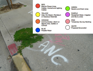 Illustration for article titled 10 Hidden Details in Your City and What They Mean